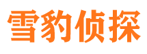 吉安婚外情调查